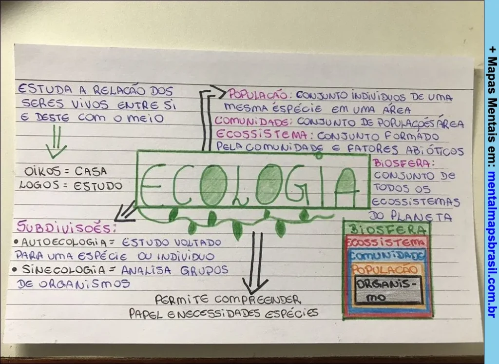 Mapa mental sobre Ecologia com definições de população, comunidade, ecossistema, biosfera e subdivisões da ecologia.