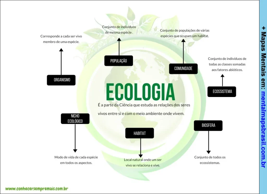 Mapa mental sobre ecologia explicando os conceitos de organismo, população, comunidade, ecossistema, biosfera, habitat e nicho ecológico.