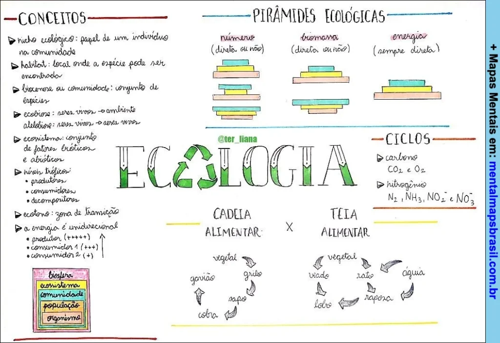 Mapa mental sobre conceitos ecológicos, pirâmides ecológicas, ciclos e cadeias e teias alimentares na ecologia.