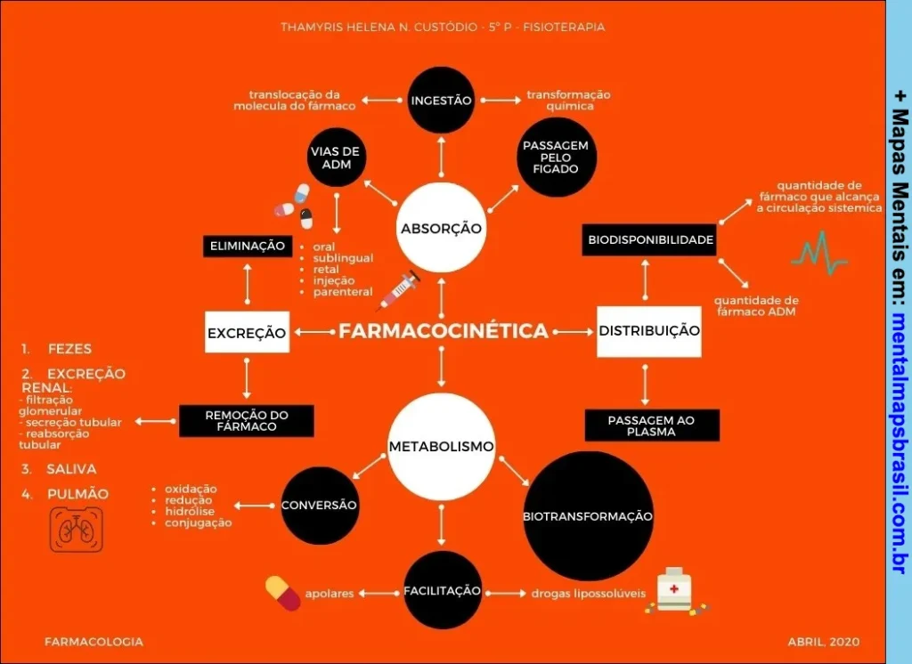 Mapa mental sobre farmacocinética detalhando processos de absorção, metabolismo, distribuição, excreção e biodisponibilidade de fármacos.