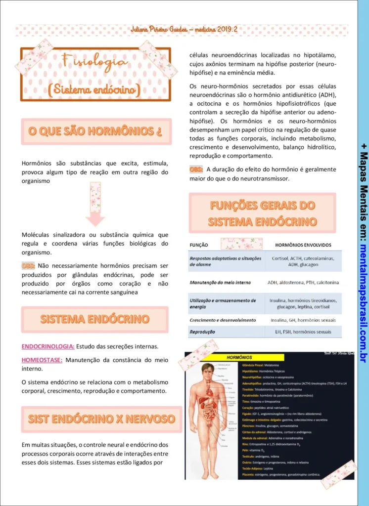 Mapa mental sobre fisiologia do sistema endócrino explicando o que são hormônios, funções gerais, sistema endócrino versus nervoso e principais hormônios.