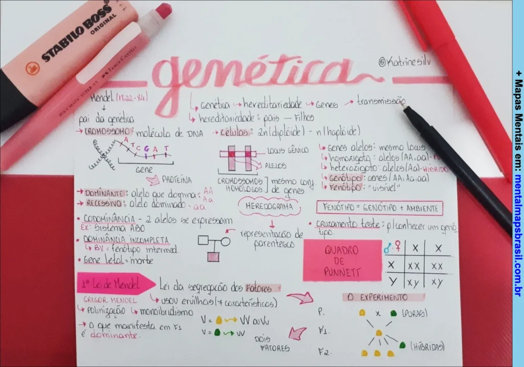 Mapa mental sobre genética explicando conceitos básicos, leis de Mendel, dominância, codominância, hereditariedade e quadro de Punnett.