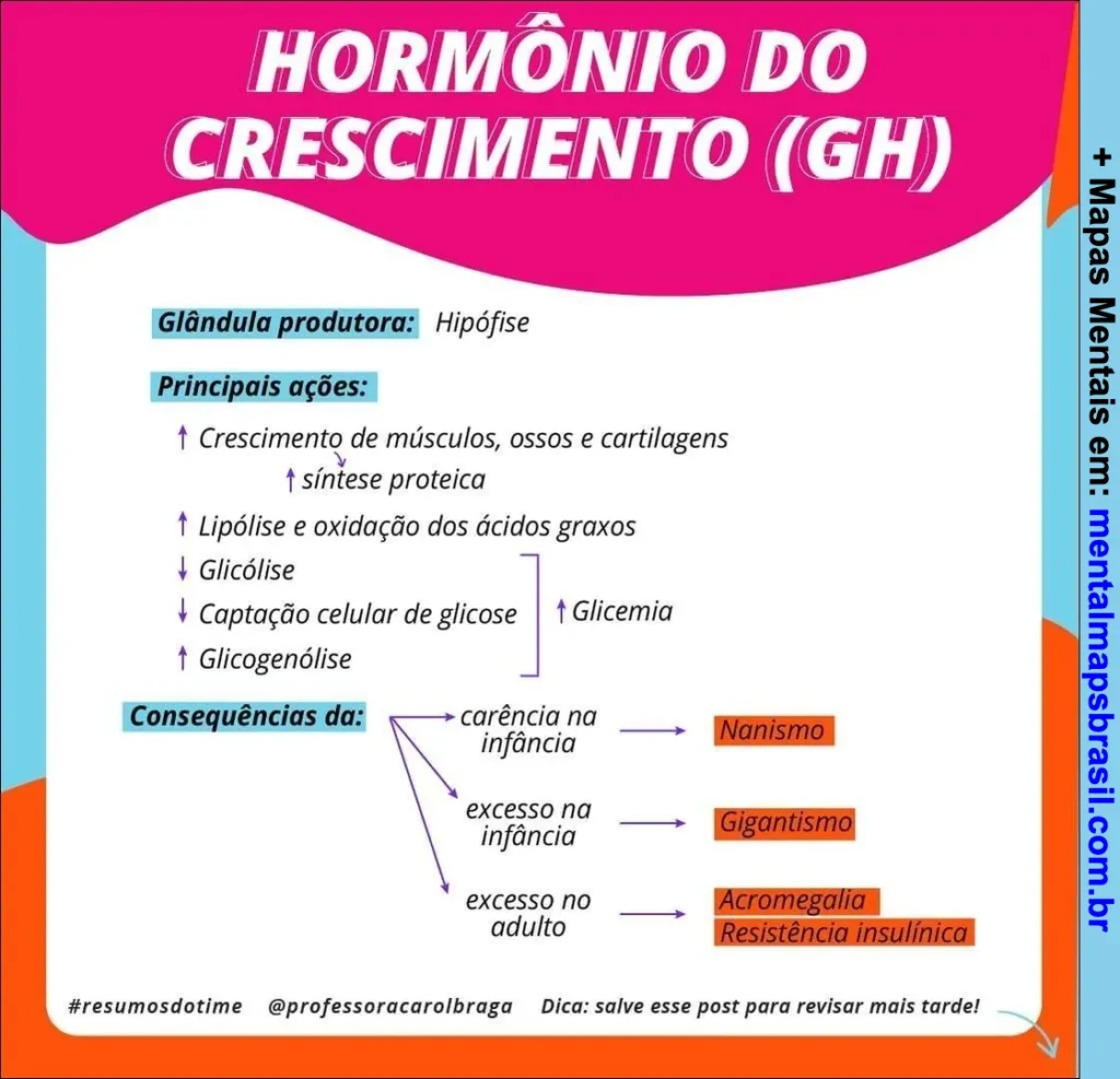Mapa mental sobre o hormônio do crescimento (GH), suas glândulas produtoras, principais ações e consequências do seu excesso ou falta.