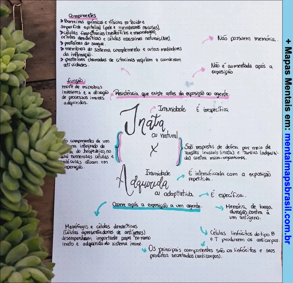 Mapa mental sobre imunidade inata e adquirida, explicando componentes, funções, características e diferenças entre os dois tipos de imunidade.