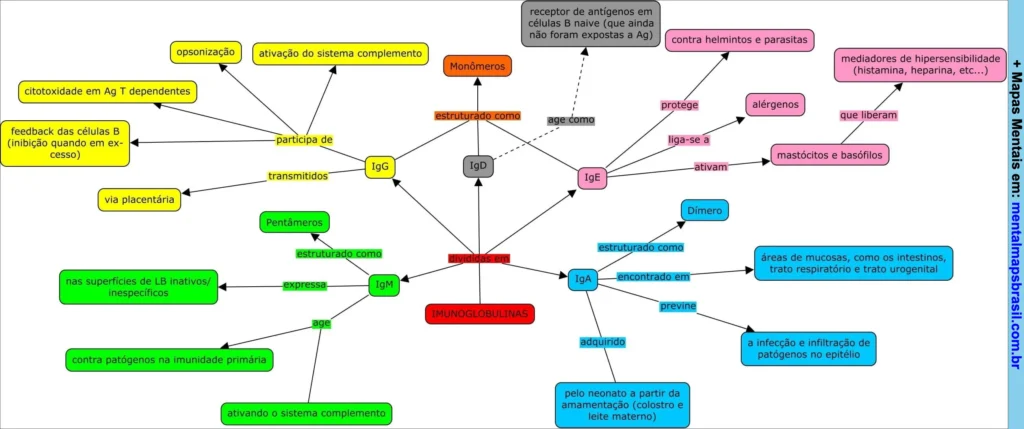 Mapa mental colorido sobre as imunoglobulinas IgG, IgM, IgA, IgD e IgE, destacando suas estruturas, funções e papéis na resposta imune.