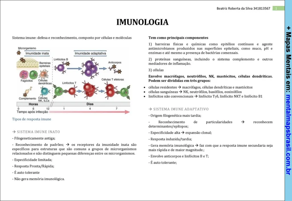 Diagrama explicativo do sistema imunológico, com diferenciação entre imunidade inata e adaptativa, tipos de células envolvidas, principais componentes e características de cada sistema.