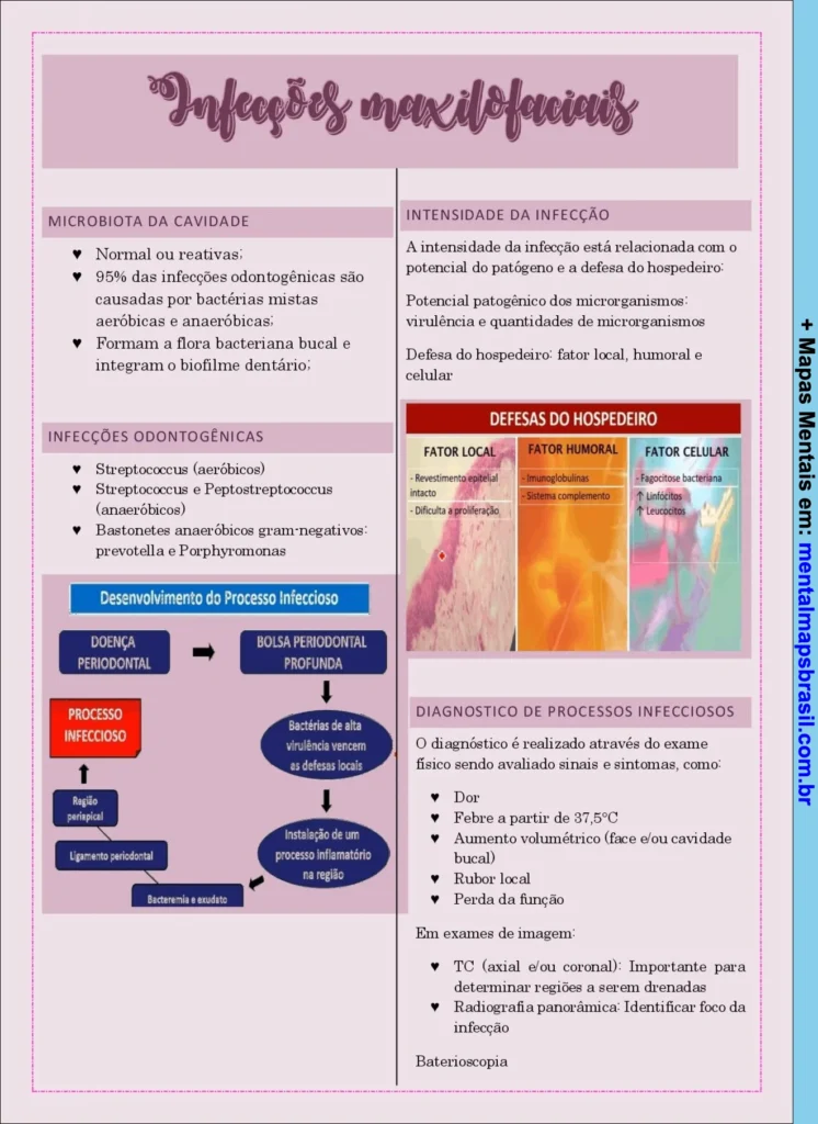 Mapa mental sobre infecções maxilofaciais abordando microbiota da cavidade, intensidade da infecção, diagnóstico e desenvolvimento do processo infeccioso.