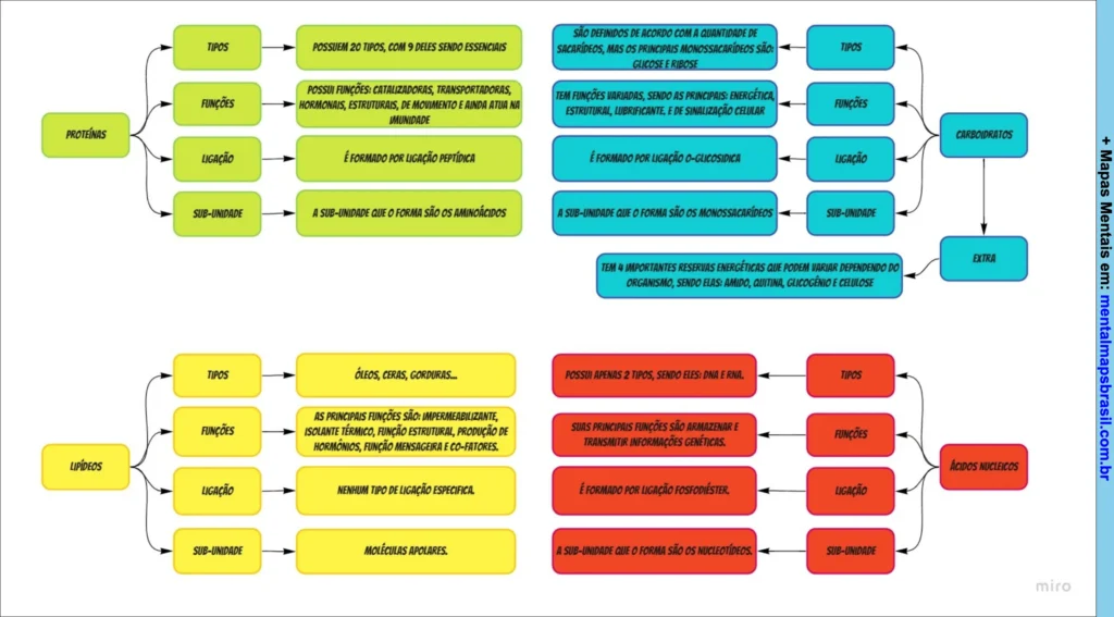 Mapa mental comparativo das características das proteínas, carboidratos, lipídios e ácidos nucleicos, incluindo tipos, funções, ligações químicas e subunidades.