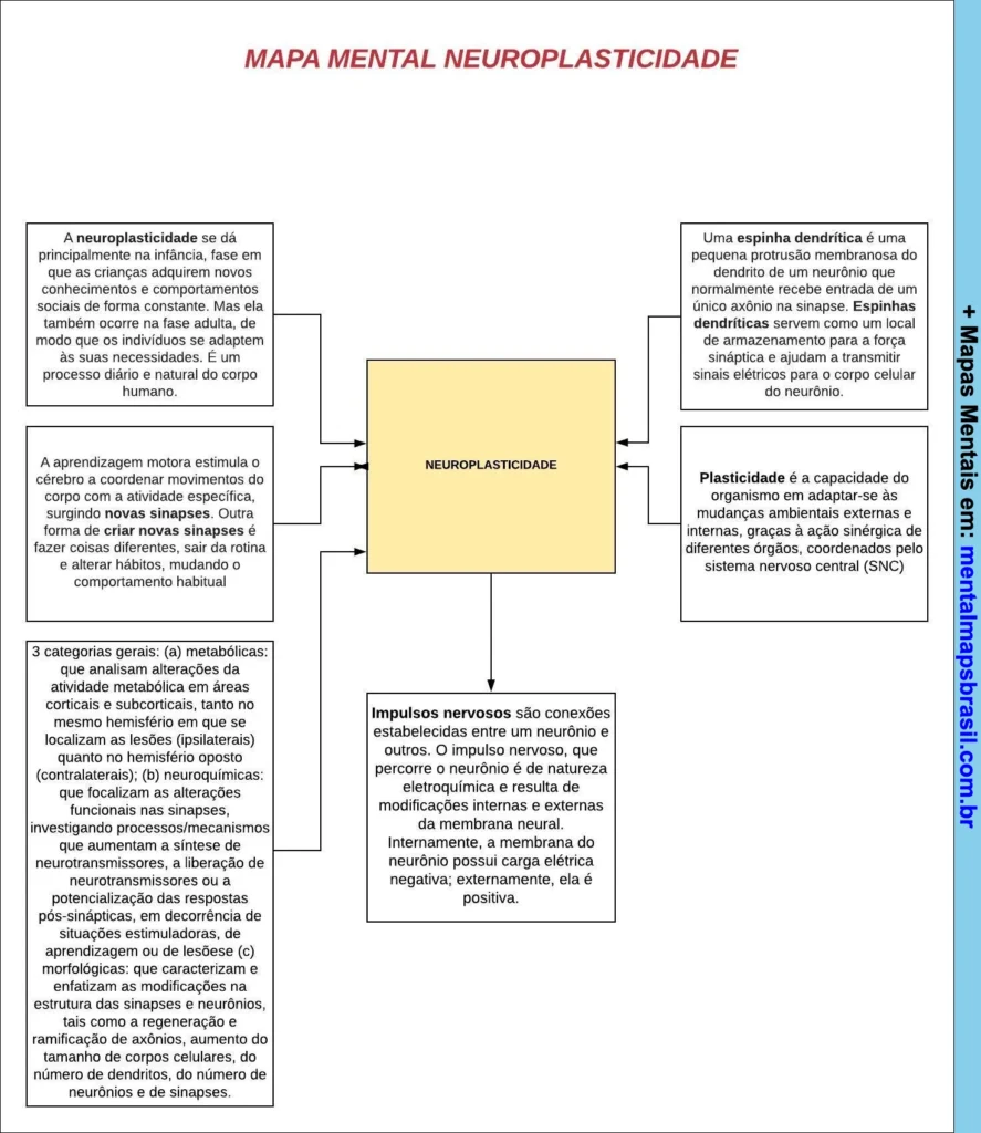 Mapa mental explicando os conceitos e categorias da neuroplasticidade, incluindo definições de impulsos nervosos, espinhas dendríticas, plasticidade e tipos de alterações sinápticas.