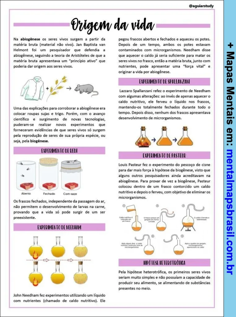 Mapa mental sobre a origem da vida explicando abiogênese, experimentos de Redi, Needham, Spallanzani, Pasteur e hipótese heterotrófica.