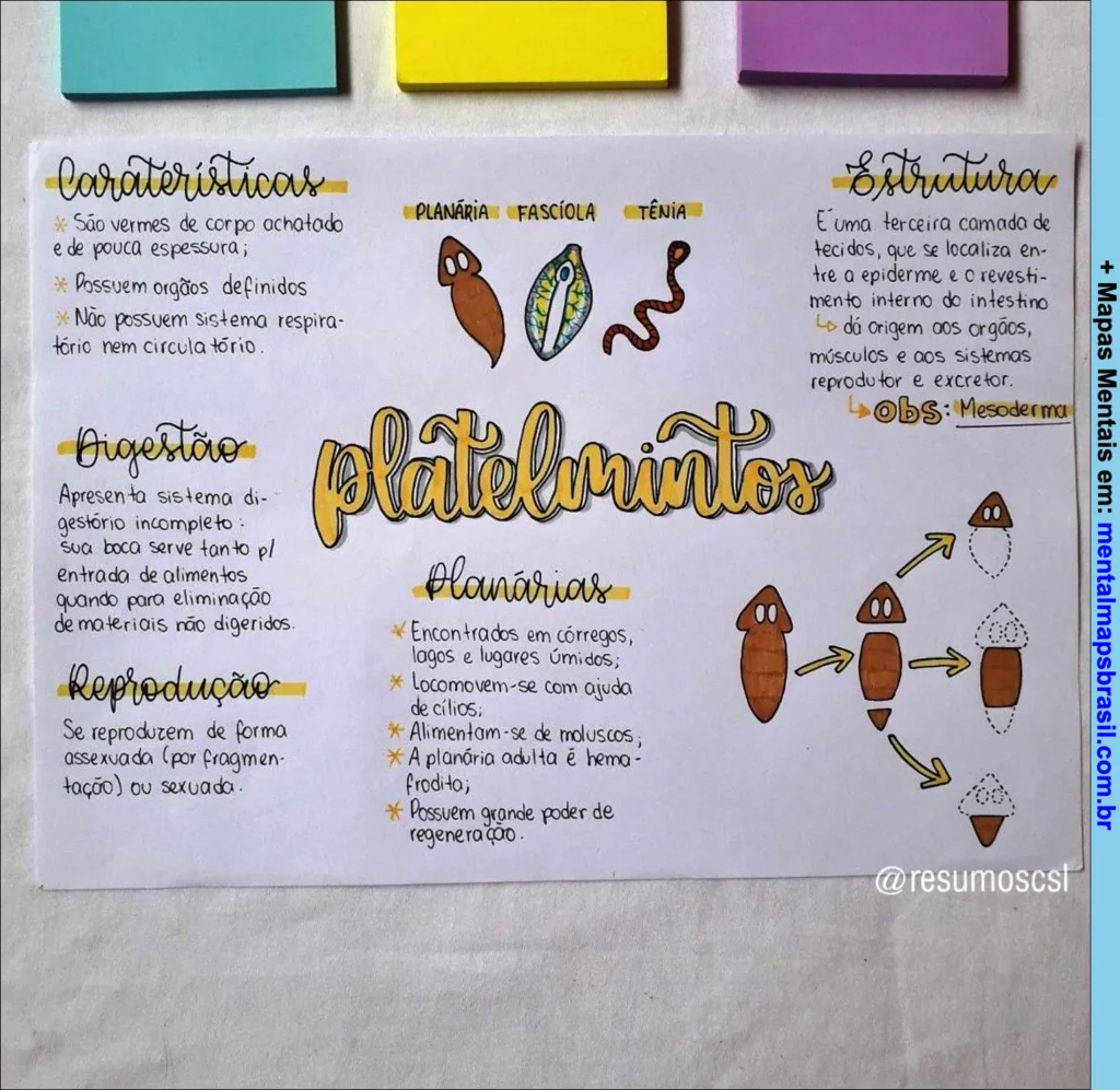 Mapa mental sobre Platelmintos com características, digestão, reprodução, estrutura e informações específicas sobre Planárias.
