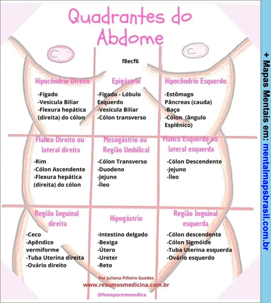 Mapa mental dos quadrantes do abdome mostrando os órgãos e estruturas presentes em cada região abdominal.