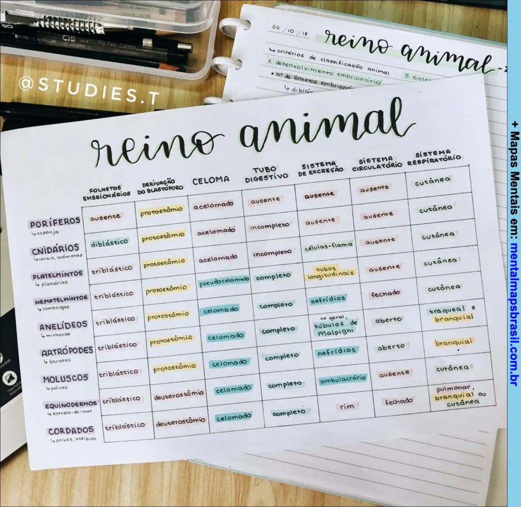 Tabela de classificação do reino animal com critérios como folhetos embrionários, derivação do blastóporo, celoma, tubo digestivo, sistemas de excreção, circulação e respiratório.