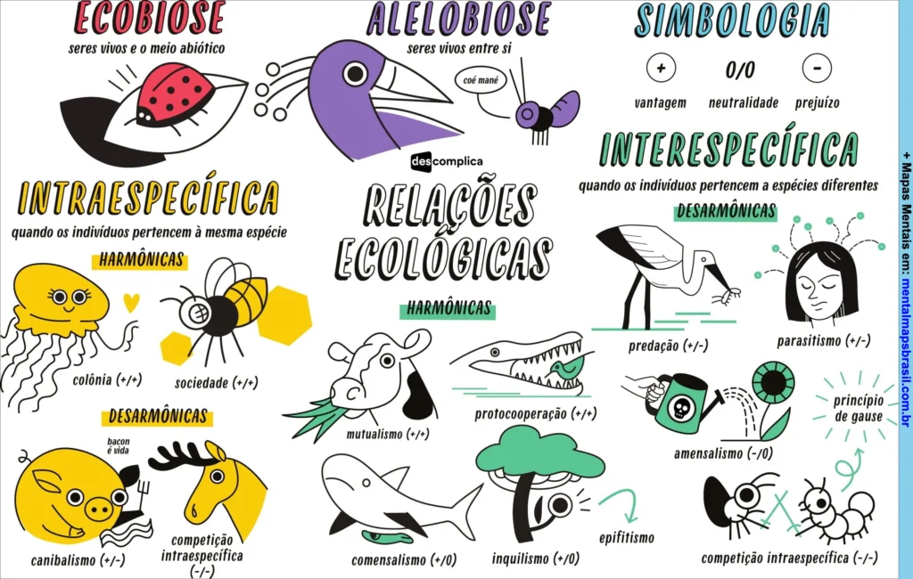 Mapa mental ilustrado sobre relações ecológicas, explicando ecobiose, alelobiose, intraespecífica, interespecífica, simbologia e exemplos de harmônicas e desarmônicas.