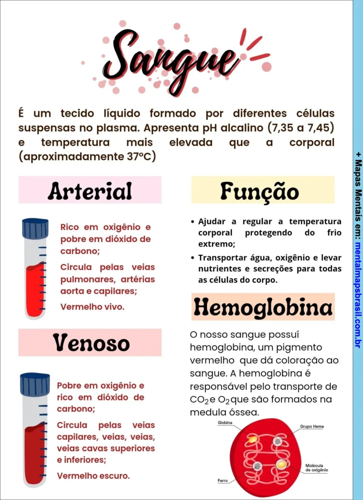 Mapa mental sobre o sangue, abordando sua composição, tipos de sangue arterial e venoso, suas funções e a importância da hemoglobina.