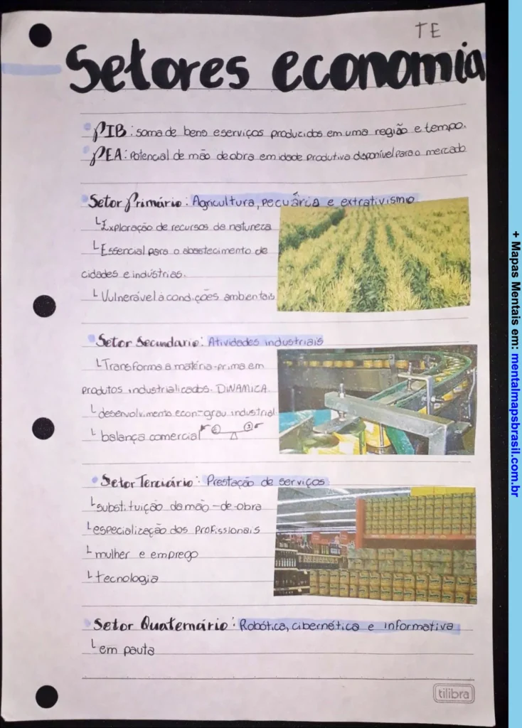 Mapa mental sobre setores econômicos com explicações sobre setor primário, secundário, terciário e quaternário, incluindo exemplos e características.