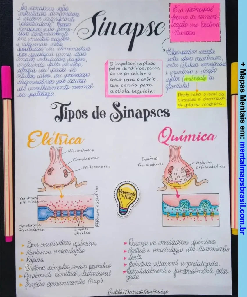 Mapa mental sobre sinapse, tipos de sinapses elétricas e químicas, explicando características, estruturas e funções na comunicação do sistema nervoso.