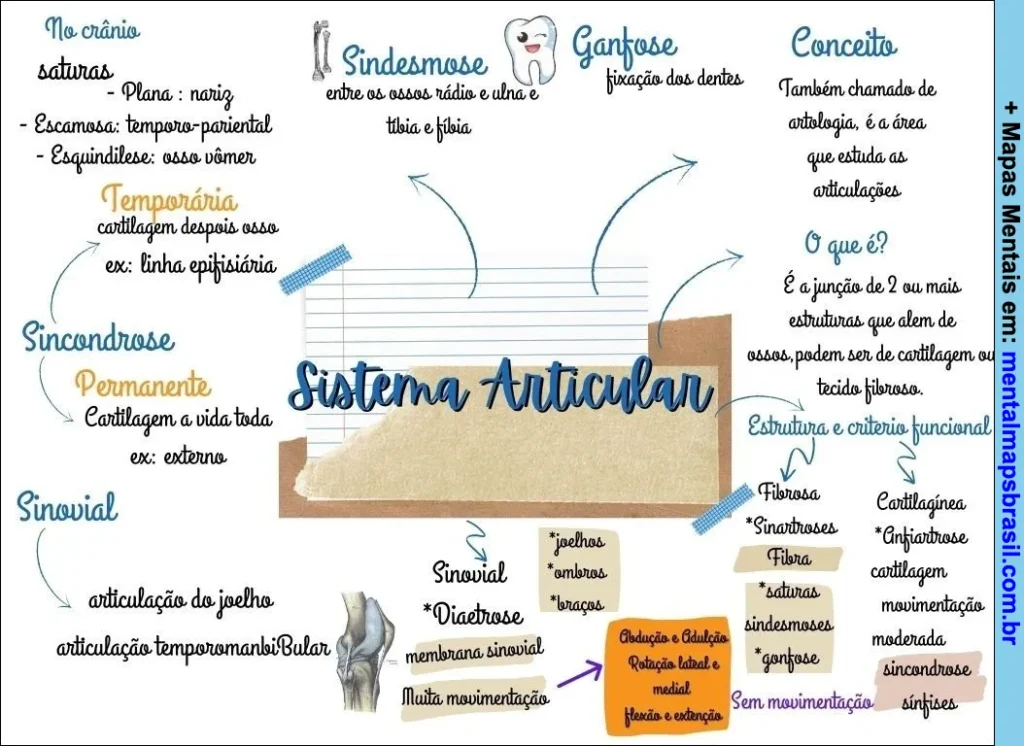 Mapa mental sobre o sistema articular detalhando tipos de articulações, exemplos, conceitos e critérios funcionais.