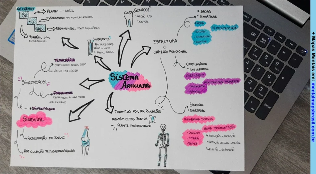 Mapa mental manuscrito explicando o sistema articular, suas estruturas, classificação funcional e tipos de articulações com exemplos e ilustrações.