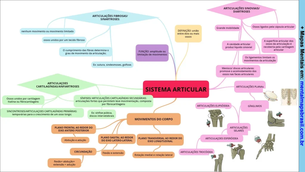 Mapa mental detalhando o sistema articular, tipos de articulações, suas características, funções e movimentos do corpo relacionados.