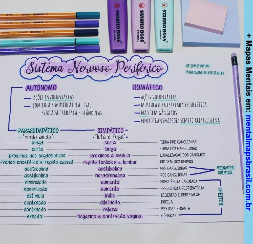 Mapa mental manuscrito sobre o sistema nervoso periférico, detalhando as divisões autonômica e somática, suas funções, neurotransmissores e efeitos.