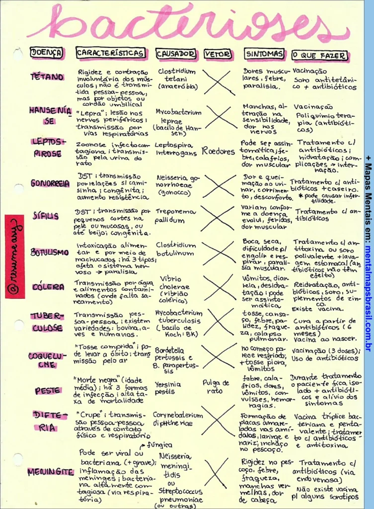 Tabela com a lista das principais bacterioses, incluindo tétano, hanseníase, leptospirose, gonorreia, sífilis, botulismo, cólera, tuberculose, coqueluche, peste, difteria e meningite. Para cada doença, são listadas características, causador, vetor, sintomas e tratamento.