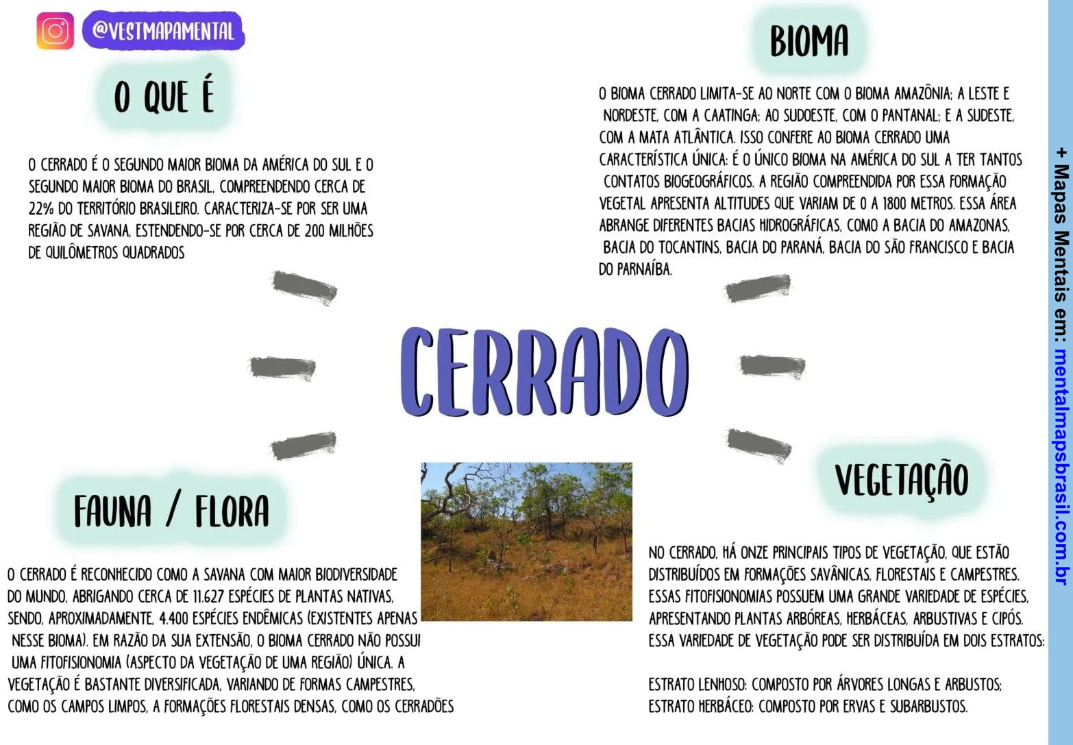 Mapa mental sobre o bioma Cerrado, incluindo definição, características, localização, fauna, flora e tipos de vegetação