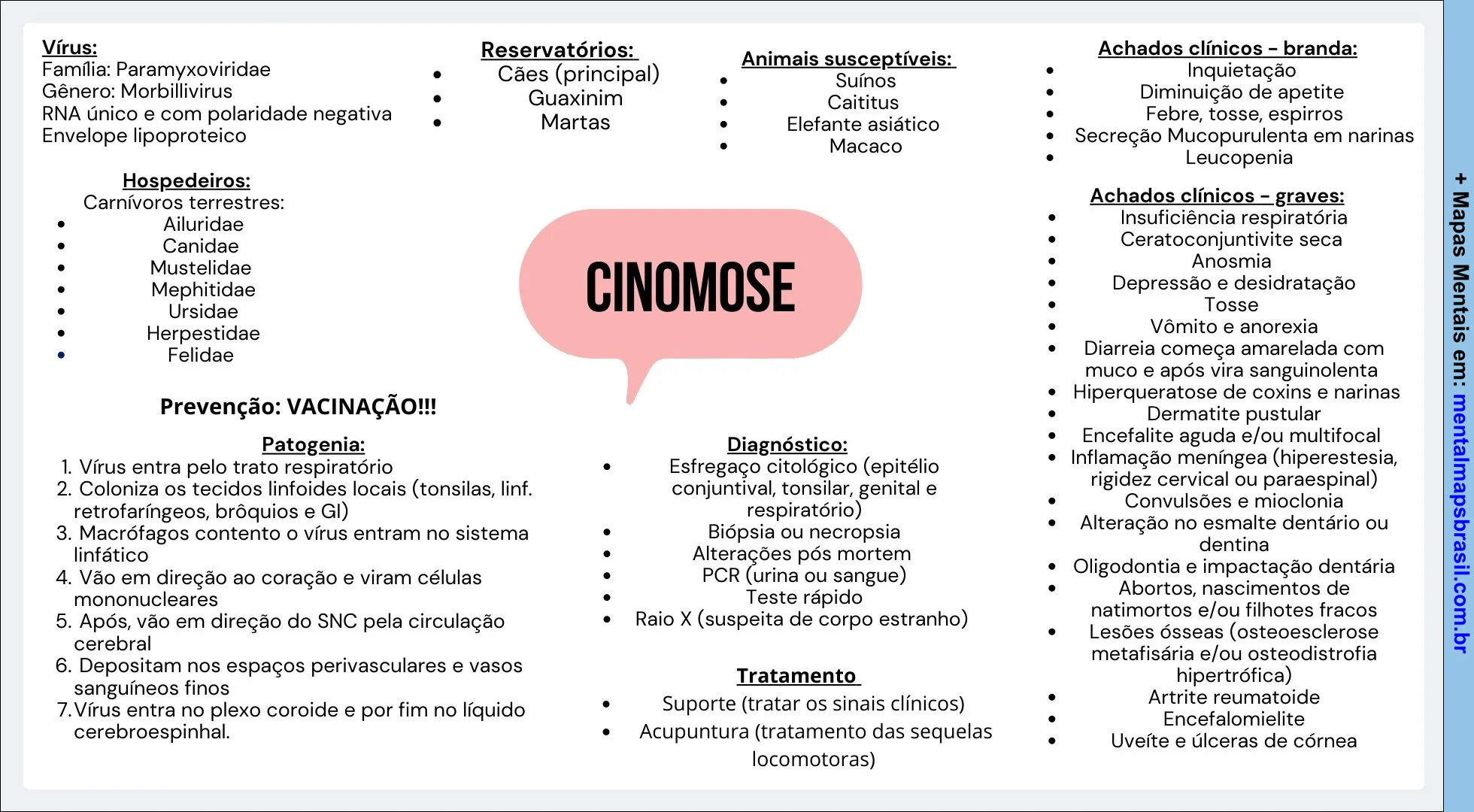 Mapa mental detalhado sobre a Cinomose, apresentando informações sobre o vírus, hospedeiros, reservatórios, animais suscetíveis, patogenia, diagnóstico, tratamento e achados clínicos em cães