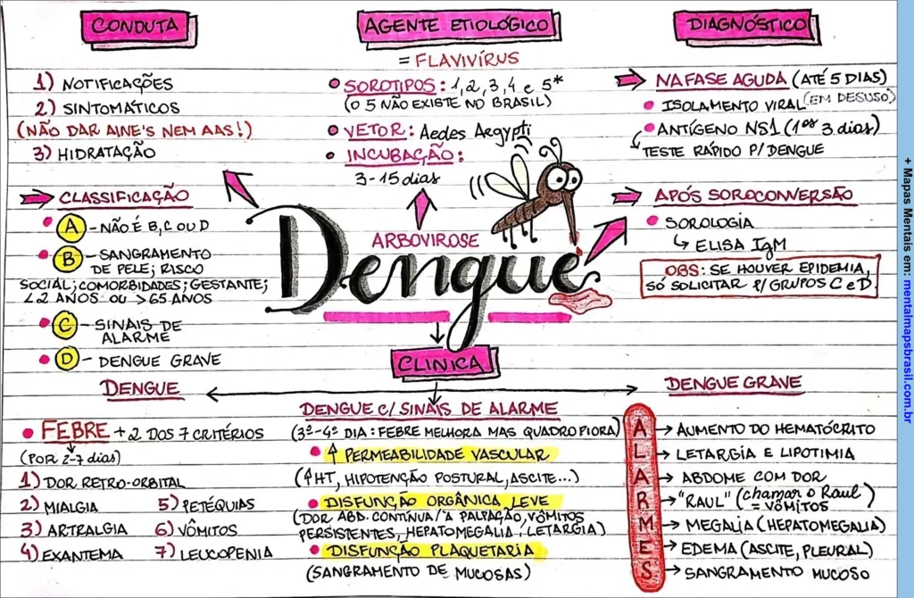 Mapa mental colorido sobre dengue, abordando conduta, agente etiológico, diagnóstico, classificação e sintomas. O esquema inclui informações sobre o vírus, vetor, incubação, fases da doença e sinais de alarme.