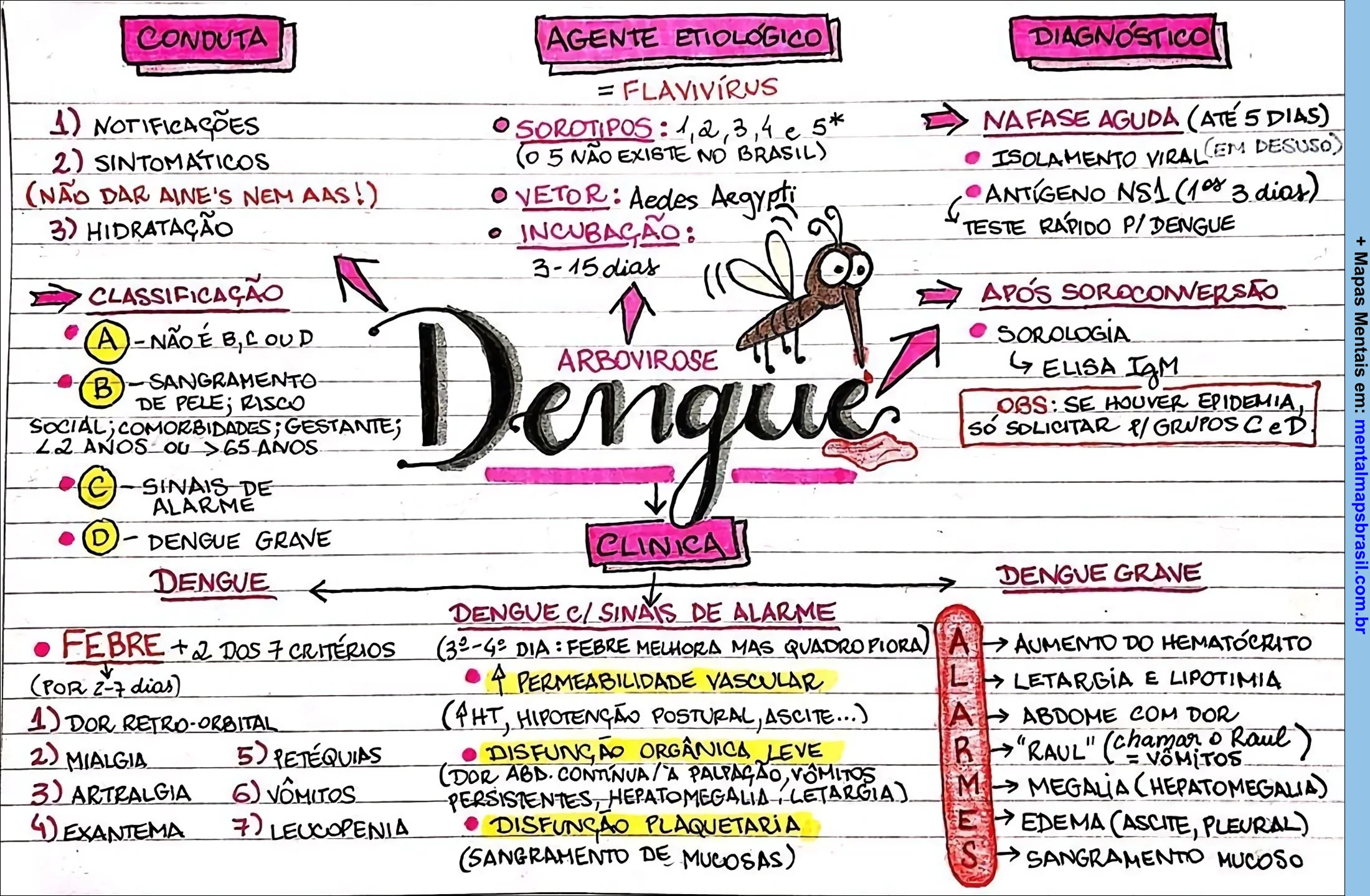 Mapa mental colorido sobre dengue, abordando conduta, agente etiológico, diagnóstico, classificação e sintomas. O esquema inclui informações sobre o vírus, vetor, incubação, fases da doença e sinais de alarme.