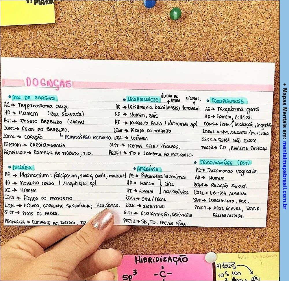 Resumo de doenças parasitárias como: Mal de Chagas, Leishmaniose, Toxoplasmose, Malária, Amebíase e Tricomoníase. Cada doença é detalhada com agente causador, hospedeiro, vetor, contaminação, local afetado, sintomas e profilaxia.