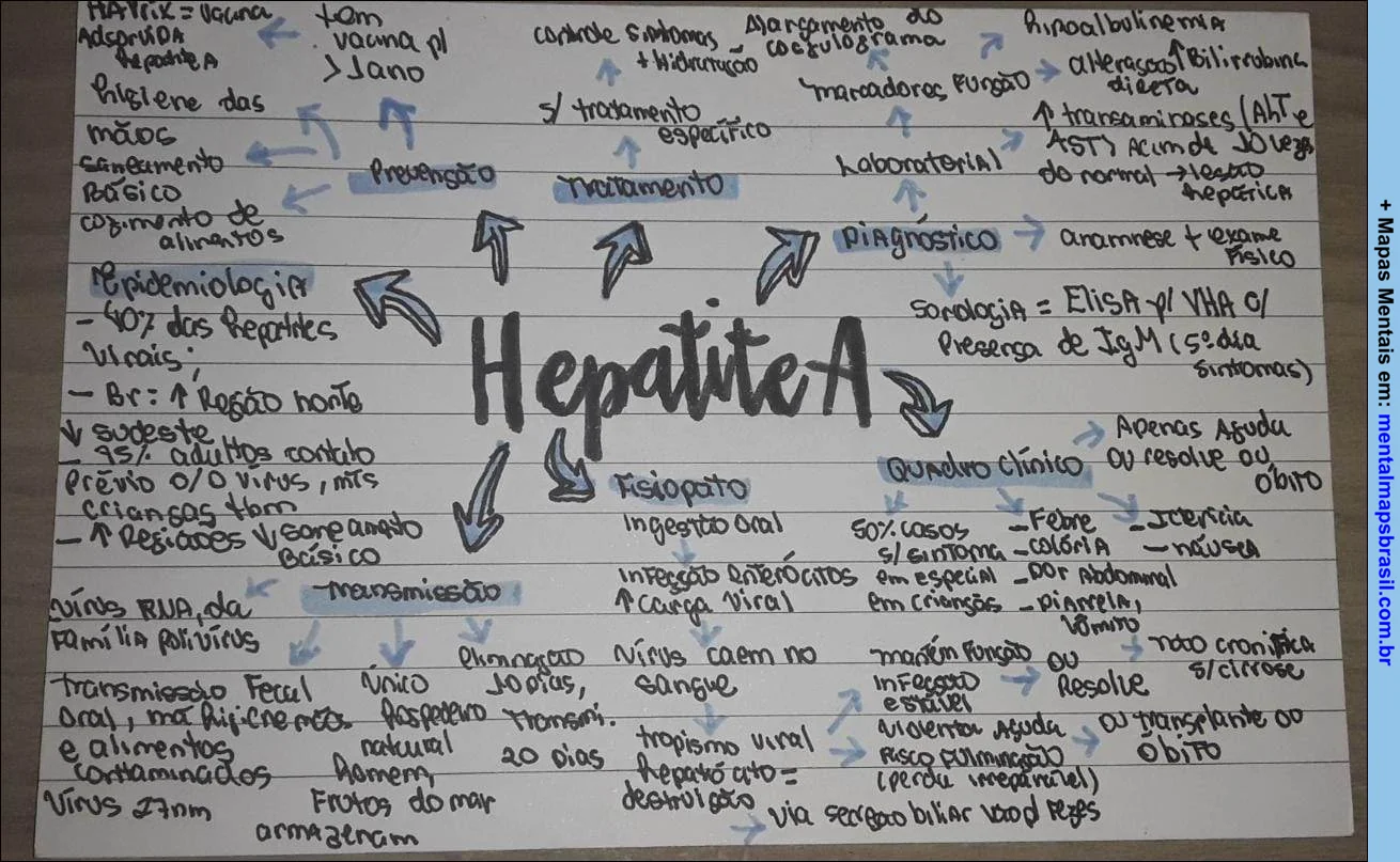 Mapa mental sobre Hepatite A, escrito à mão em um papel pautado. Apresenta informações sobre epidemiologia, transmissão, diagnóstico, tratamento, prevenção e quadro clínico da doença