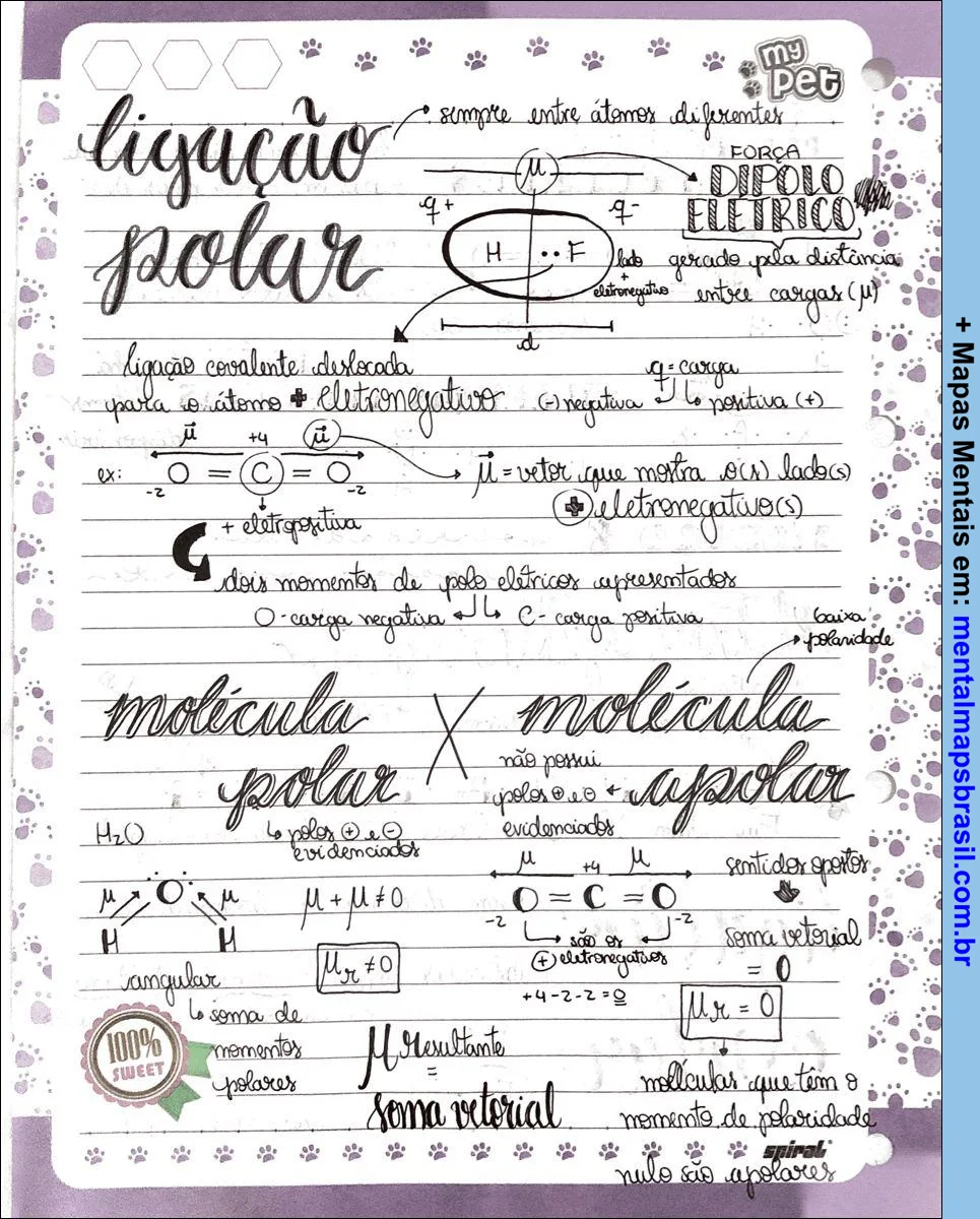 Mapa mental sobre ligação polar em química, incluindo definições, diagramas e comparações entre moléculas polares e apolares. O conteúdo está escrito à mão em uma folha decorada com tema de animais de estimação