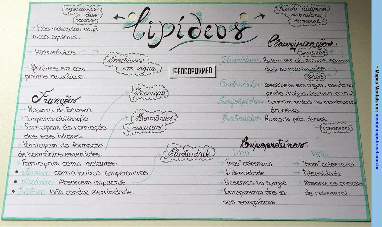 Mapas mentais sobre lipídeos, incluindo suas características, funções, classificações e tipos, como gorduras, ceras e lipoproteínas. O conteúdo está organizado em um mapa mental colorido com destaque para as principais informações.