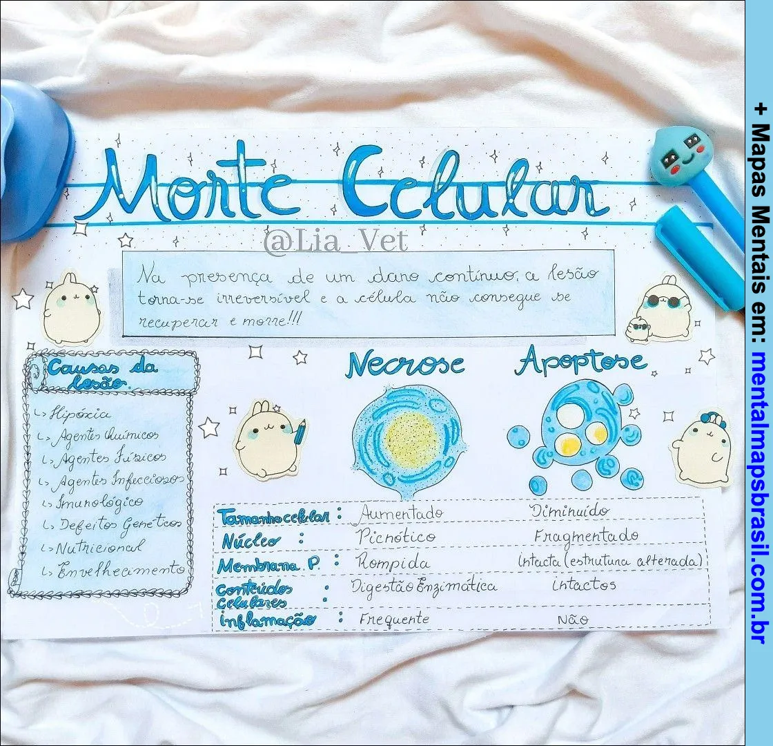 Mapa mental sobre morte celular explicando causas da lesão, necrose e apoptose.