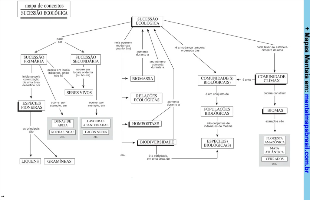 Mapa mental sobre sucessão ecológica, incluindo sucessão primária, secundária, espécies pioneiras, biomassa, relações ecológicas, biodiversidade e biomas