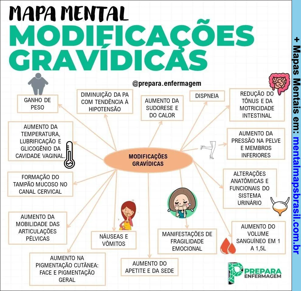 Mapa mental sobre modificações fisiológicas durante a gravidez com principais sintomas e alterações corporais.