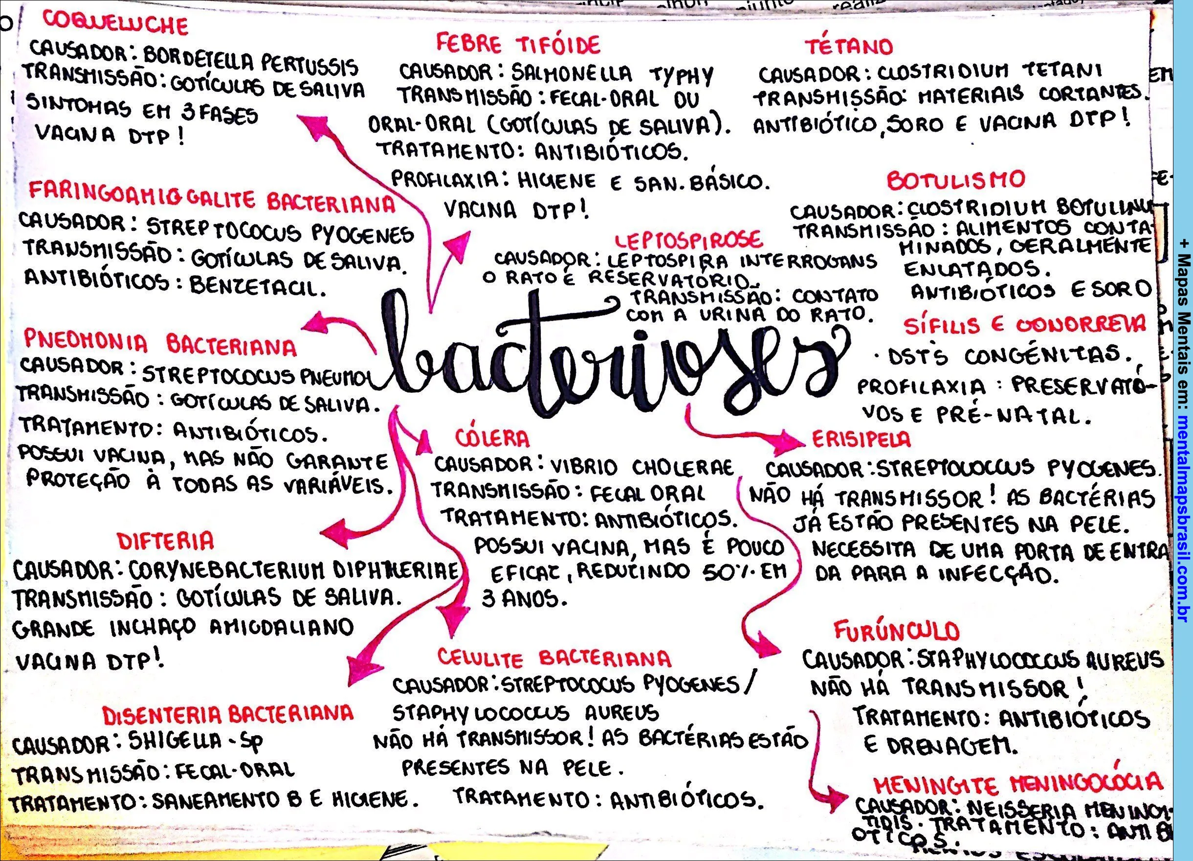 Mapa mental sobre bacterioses com causas, transmissões, sintomas, tratamentos e vacinas.