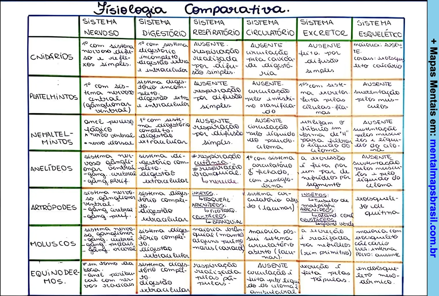 Tabela comparativa da fisiologia dos sistemas nervoso, digestório, respiratório, circulatório, excretor e esquelético em diferentes grupos animais.