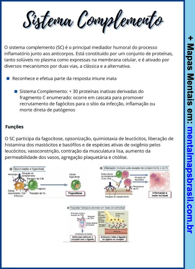 Mapa mental sobre o sistema complemento, explicando suas funções e processos como fagocitose, inflamação e opsonização.