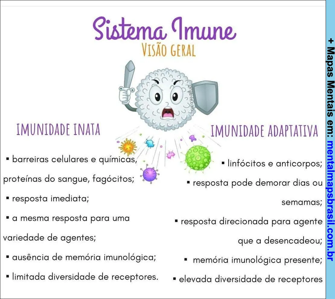 Mental map showing the immune system, comparing innate and adaptive immunity.