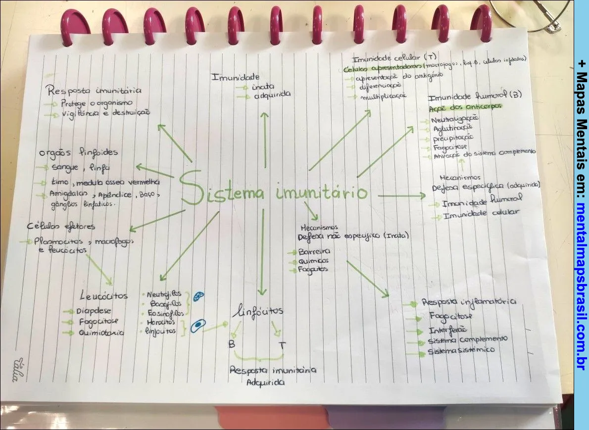 Mapa mental sobre o sistema imunitário, destacando os componentes e mecanismos da resposta imunitária.