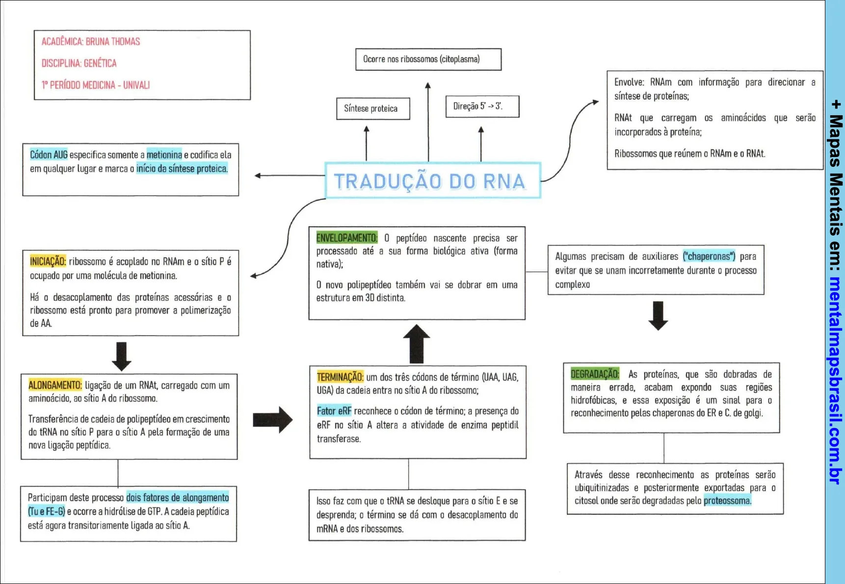 Mapa mental sobre a tradução do RNA e síntese proteica, explicando os processos de iniciação, alongamento, terminação, enovelamento e degradação de proteínas.