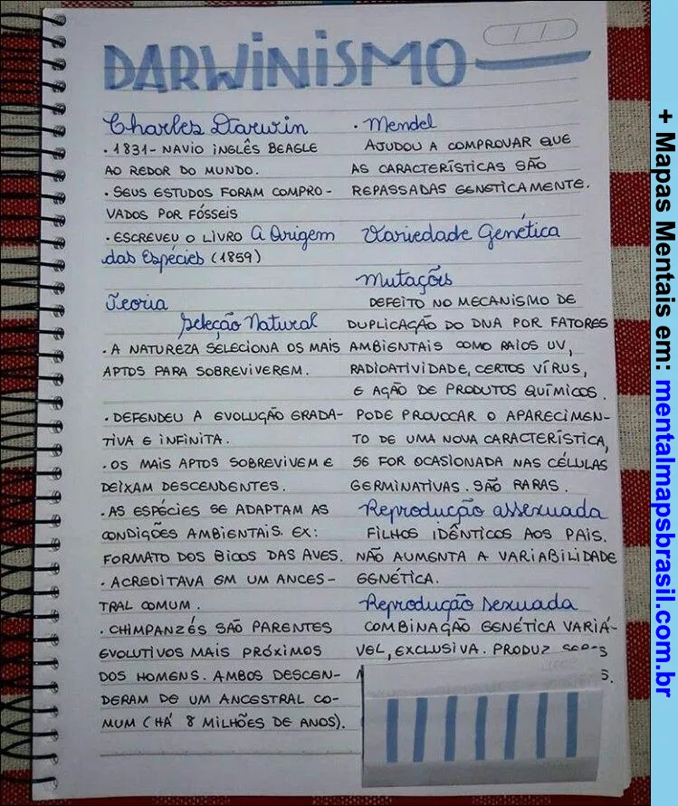 Mapa mental sobre Darwinismo, incluindo informações sobre Charles Darwin, seleção natural, teoria da evolução, Mendel, hereditariedade genética, mutações e reprodução.