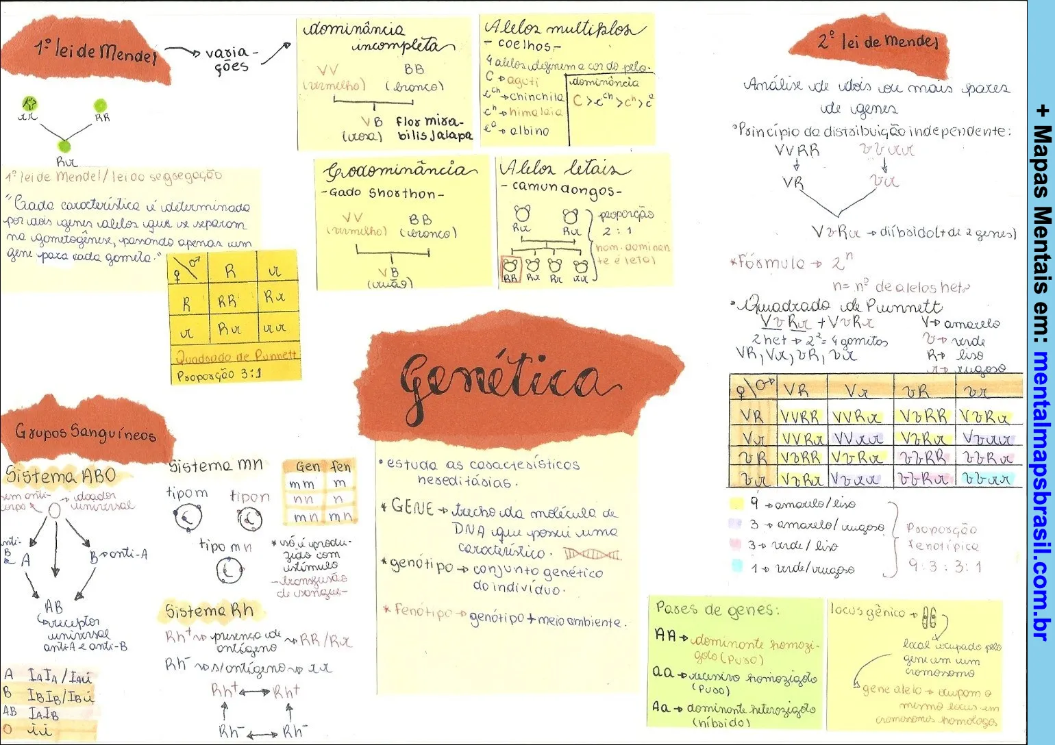 Mapa mental sobre genética e as leis de Mendel, incluindo conceitos como dominância, codominância, alelos múltiplos, grupos sanguíneos e herança genética.