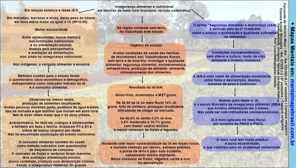 Insegurança Alimentar no Meio Rural Brasileiro mapa mental