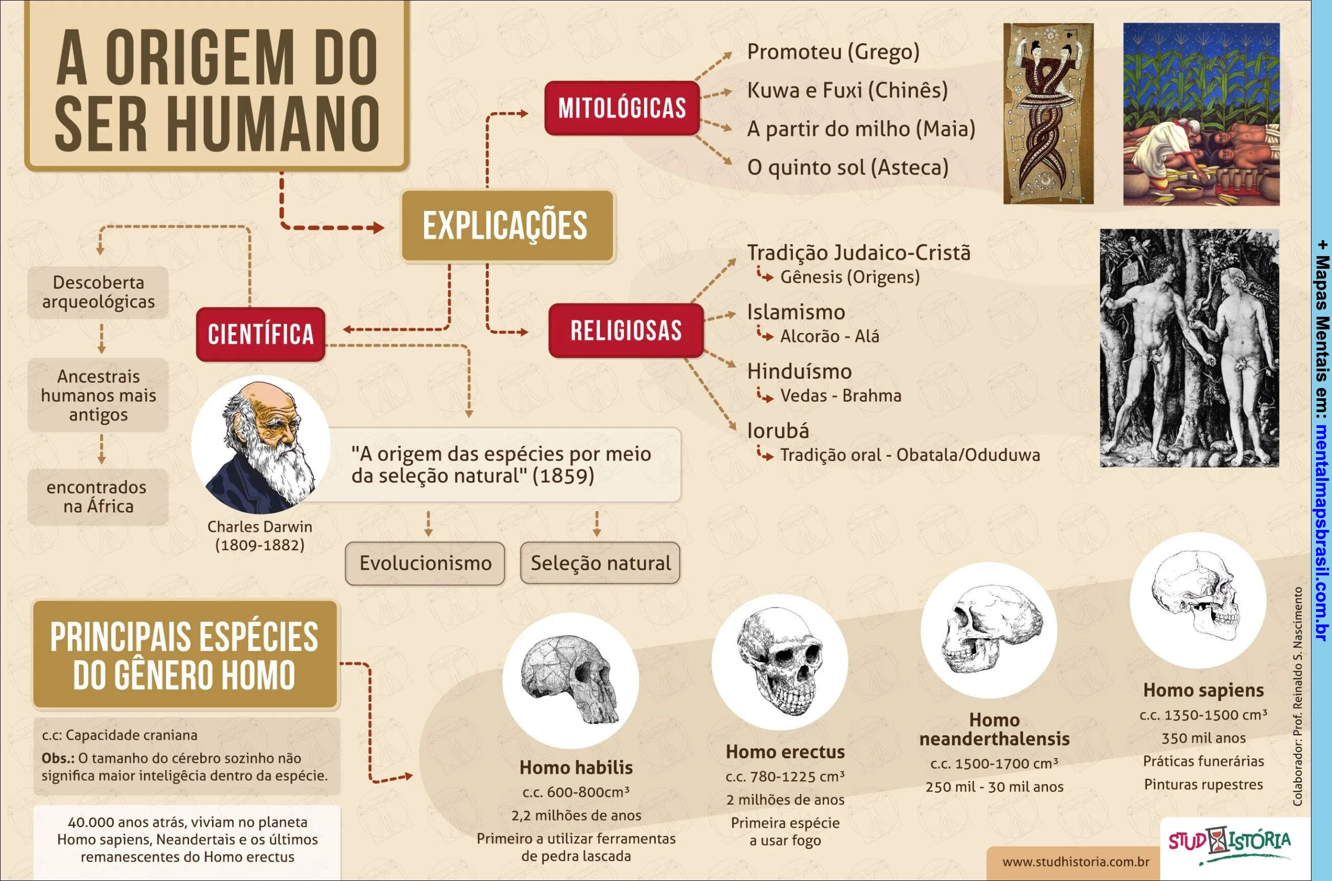 Mapa mental sobre a origem do ser humano, mostrando explicações mitológicas, religiosas e científicas, além das principais espécies do gênero Homo.