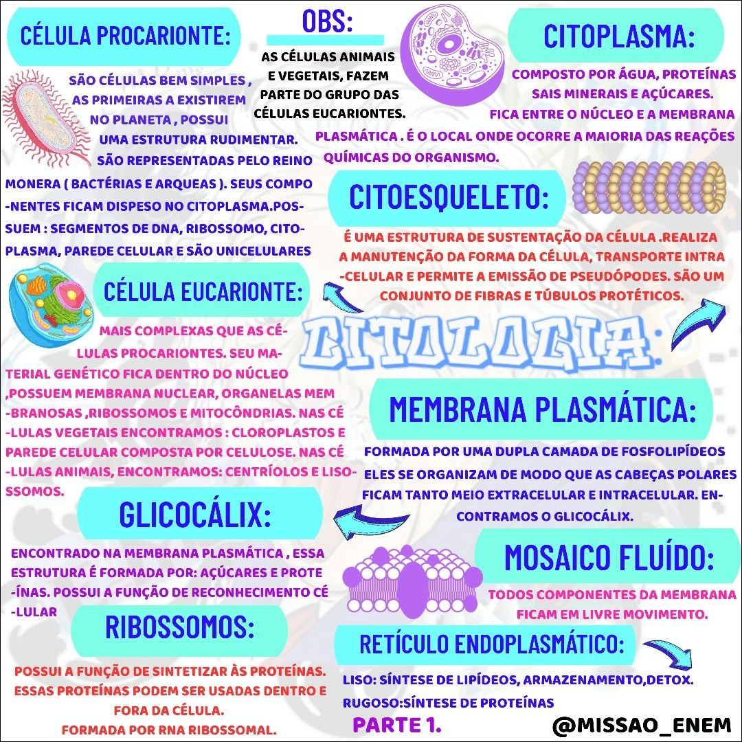 Um mapa mental sobre citologia, comparando células procariontes e eucariontes, com explicações sobre citoplasma, citoesqueleto, membrana plasmática, glicocálix, ribossomos, retículo endoplasmático e mosaico fluido.