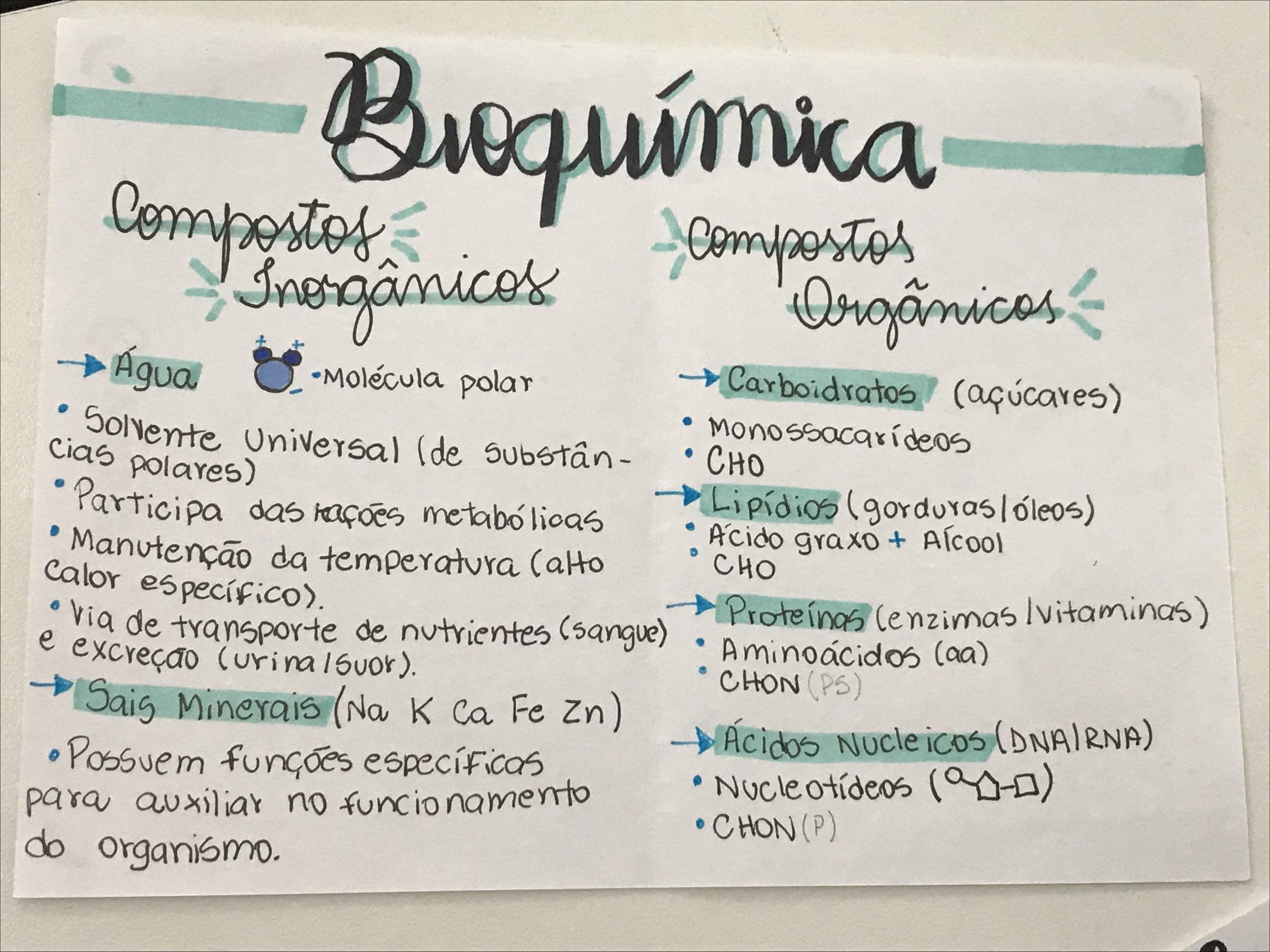 Mapa mental sobre bioquímica, destacando compostos inorgânicos e orgânicos, com informações detalhadas sobre cada tipo.