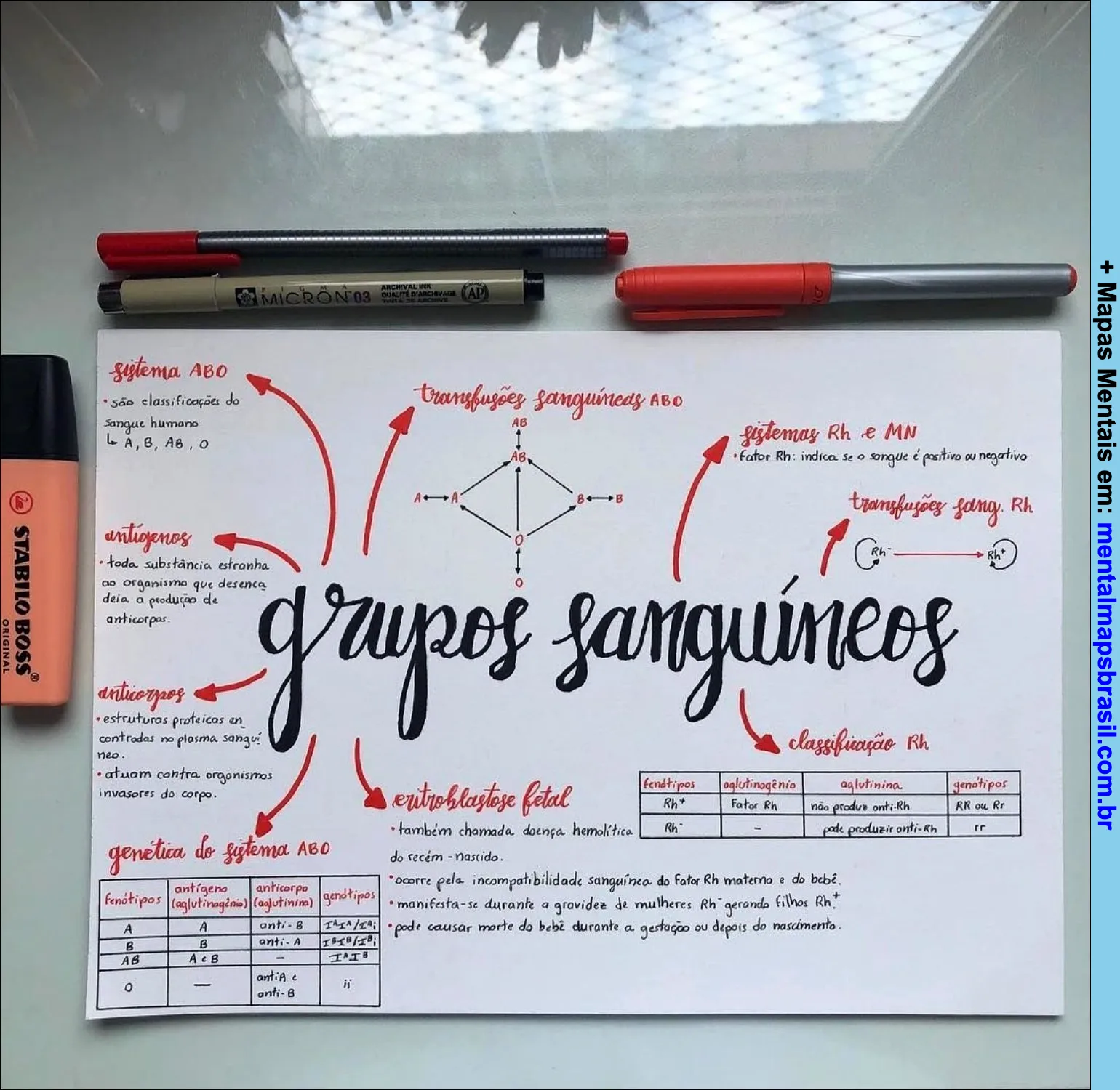 Um mapa mental sobre grupos sanguíneos, incluindo sistemas ABO e Rh, transfusões sanguíneas, antígenos, anticorpos, eritroblastose fetal e genética.